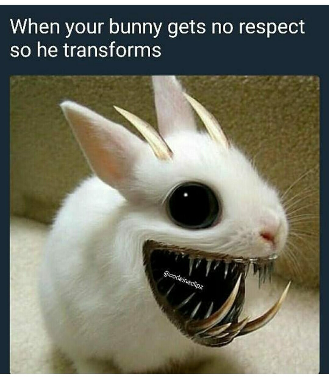 Scary tho Meme by ShadowNinja_z ) Memedroid