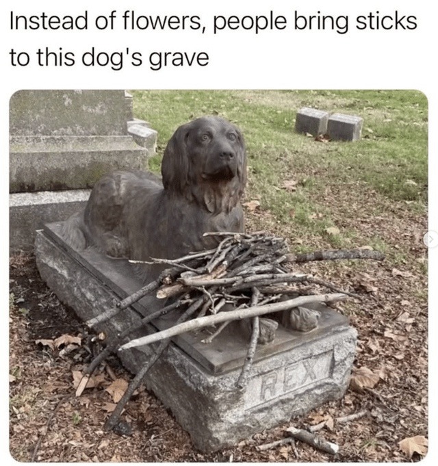 ﻿Instead of flowers, people bring sticks to this S grave dog’