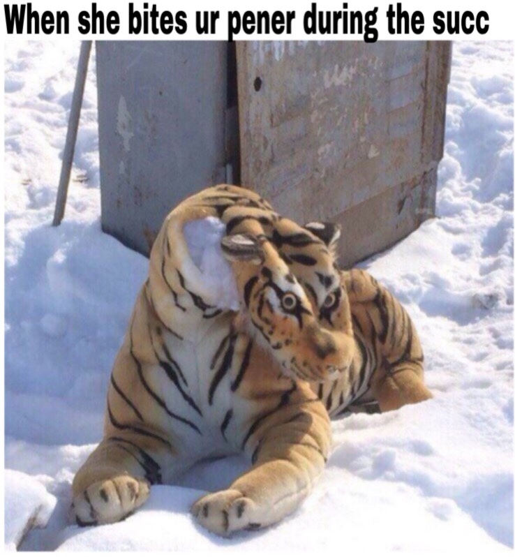 Nani? Meme by Paperfag ) Memedroid