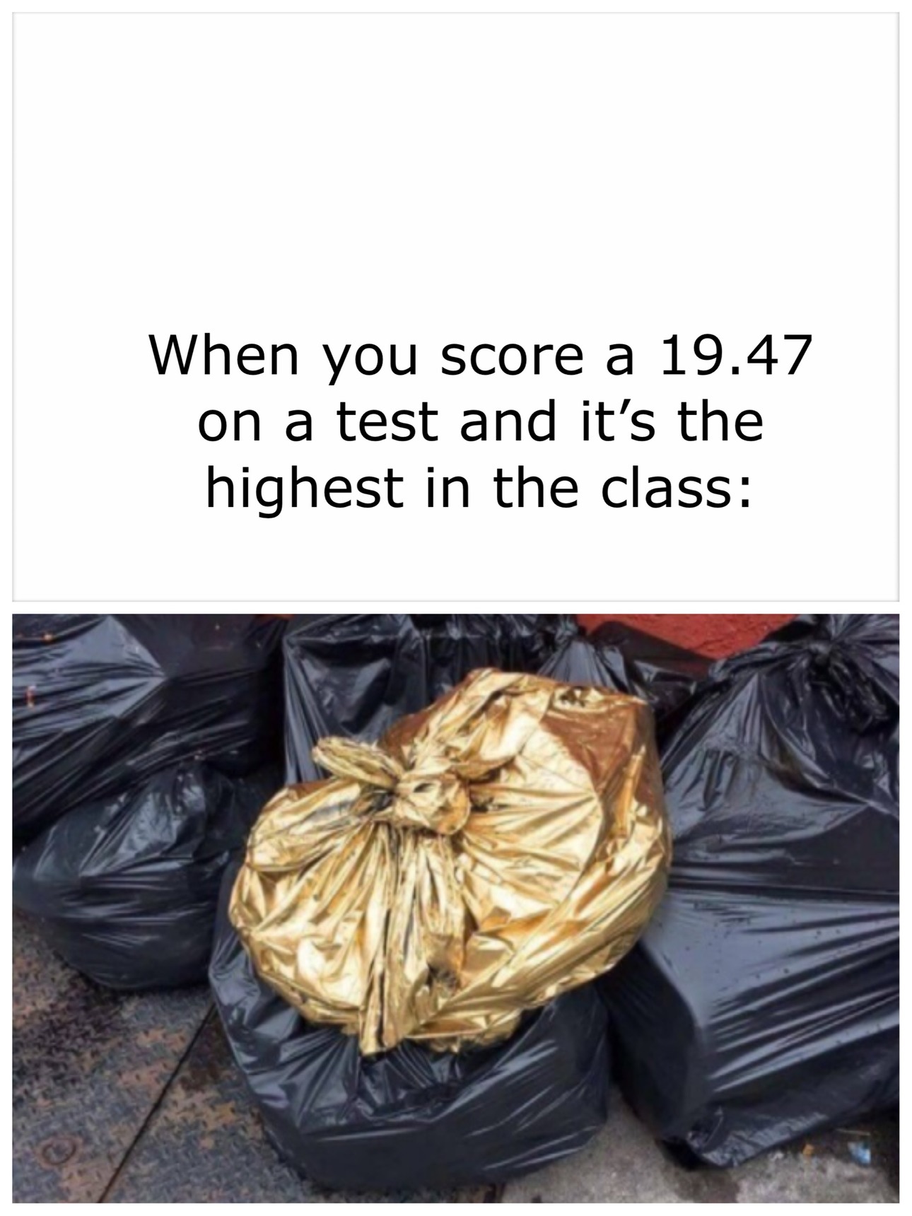 Gold Trash Bag Know Your Meme