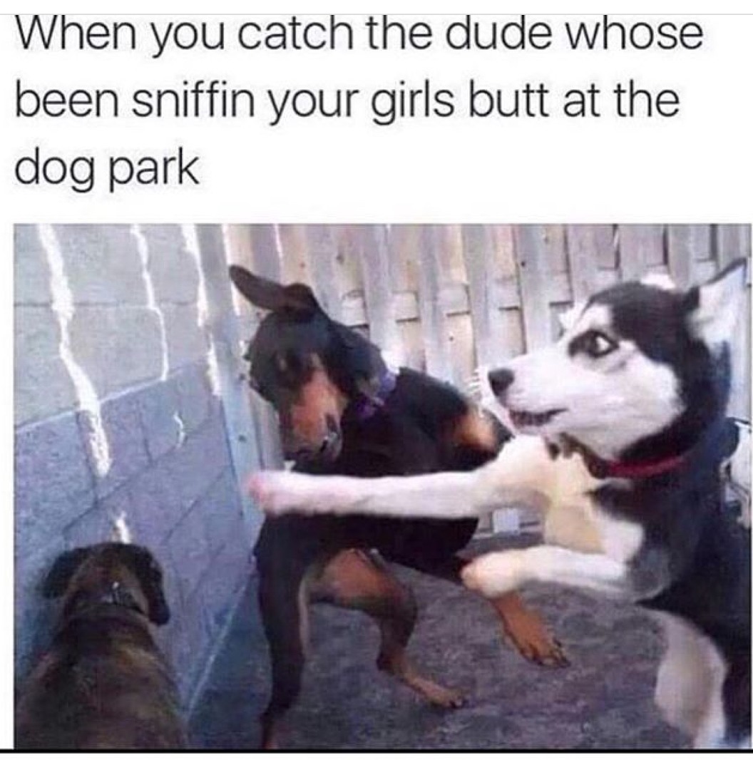 Memedroid Images tagged as 'meme' Page 47