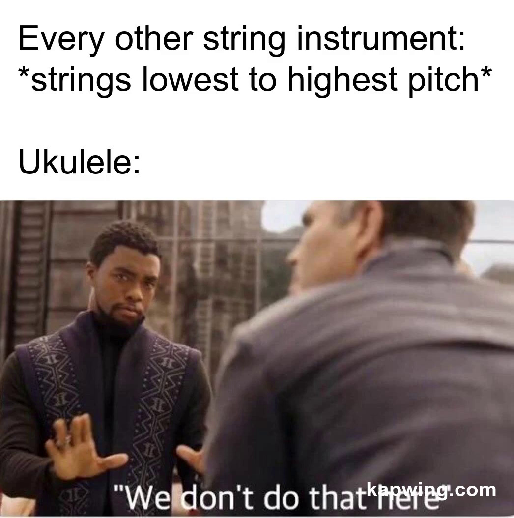 öltöny zoomolás Fennsík ukulele meme Átlátni túlfeszültség csomó
