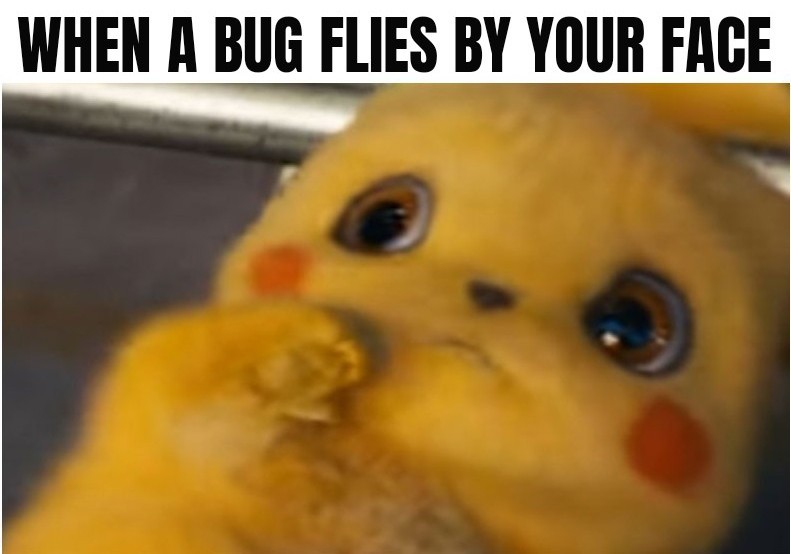 A simple meme Meme by TheSoloLobo ) Memedroid