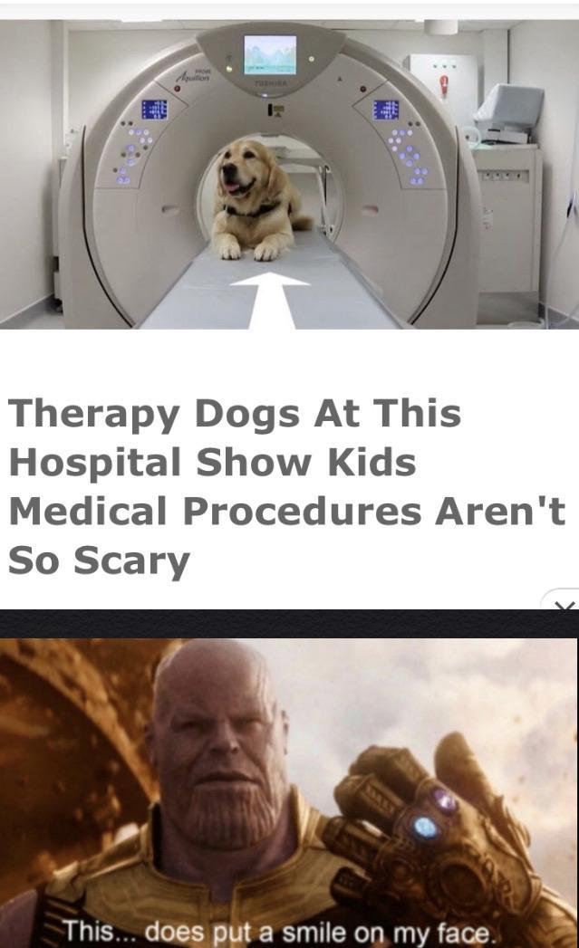 Therapy dogs at this hospital show kids medical procedures aren't so