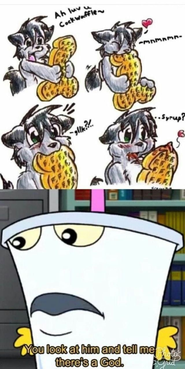 The best furry memes ) Memedroid