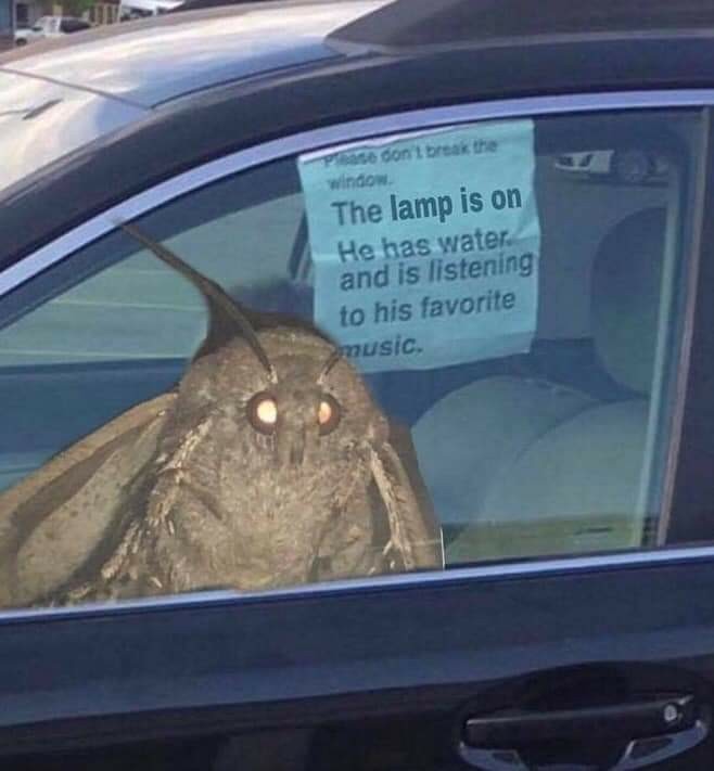 The best lämp memes ) Memedroid