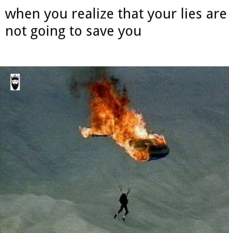 Going down in flames Meme by Squiddd3 ) Memedroid