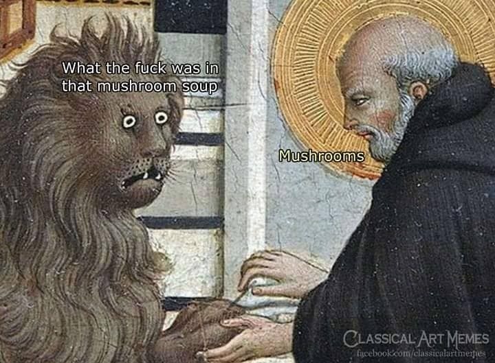 Mushrooms issues Meme by Cosmus ) Memedroid