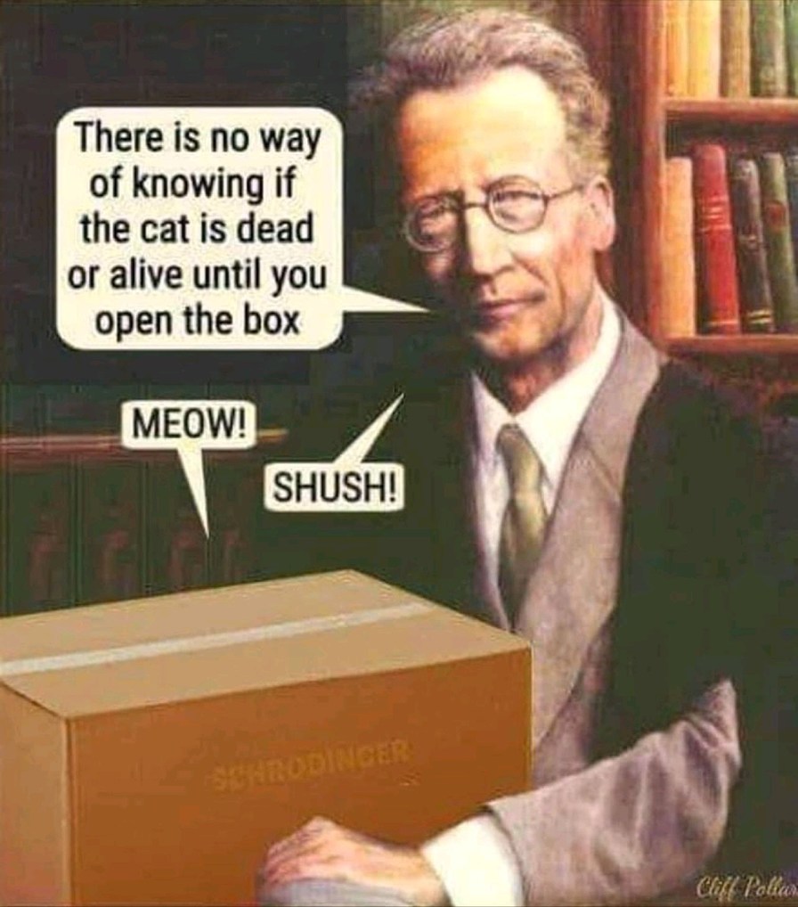 Schrodinger's cat Meme by schizoidman ) Memedroid