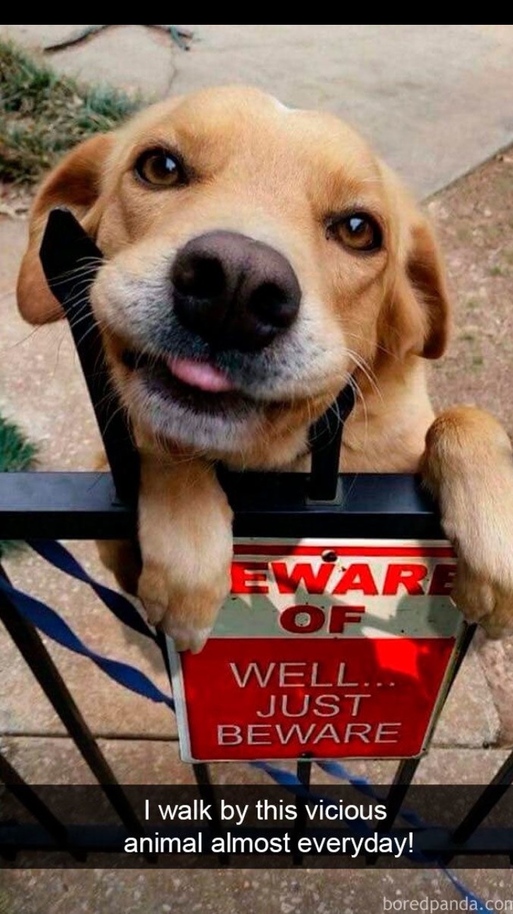The best Hmmm memes ) Memedroid