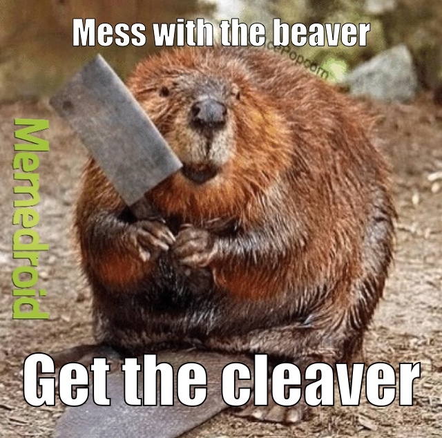The best Beaver memes ) Memedroid