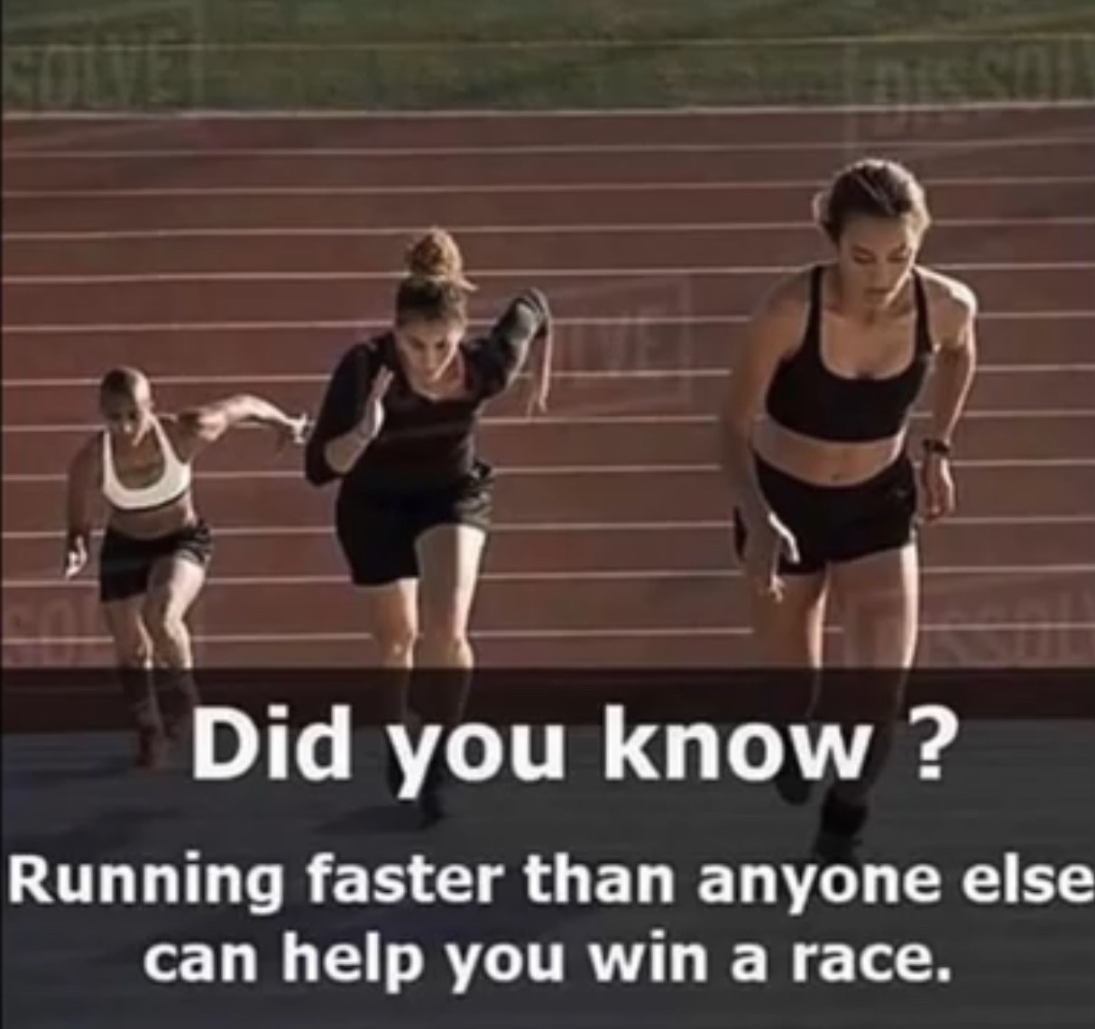 Run Forest Run Meme Meme Painted