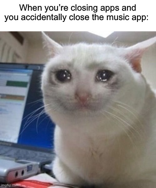 The best App memes ) Memedroid