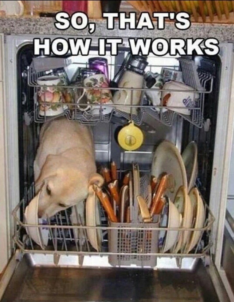 Wax On, Wax Off Meme by armandg14 ) Memedroid