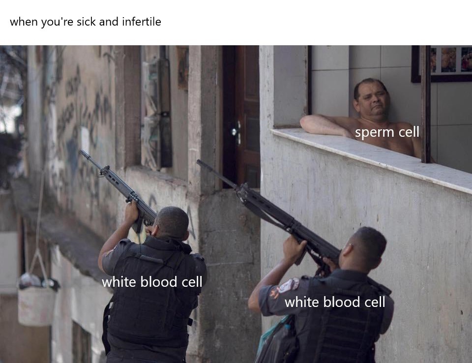 The best sick memes ) Memedroid