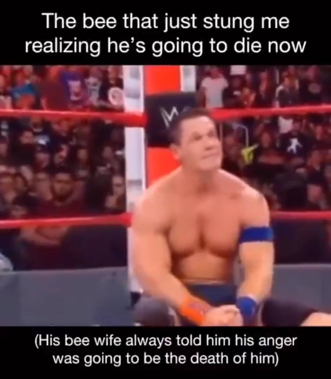 Wwe Memes John Cena