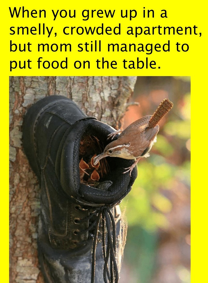 The best Apartment memes ) Memedroid