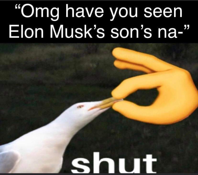 STFU..... Meme by Mercenary_Hero ) Memedroid