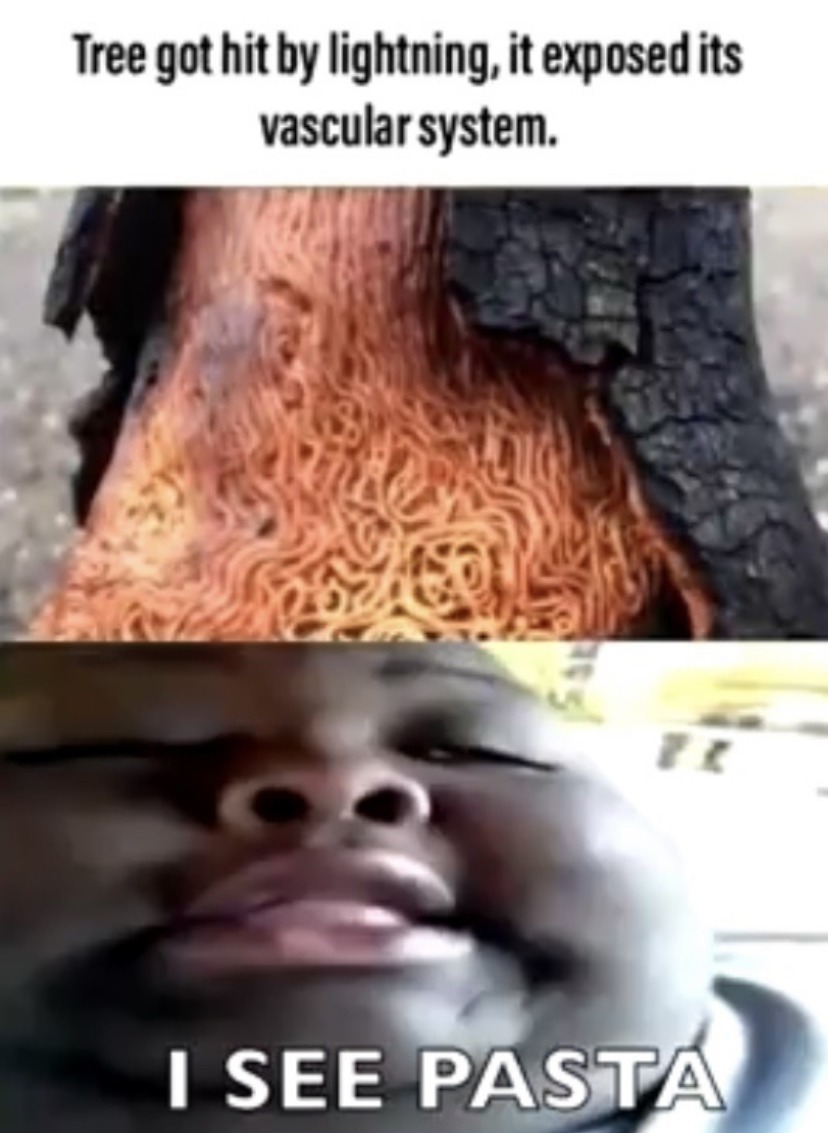 The best fat memes ) Memedroid