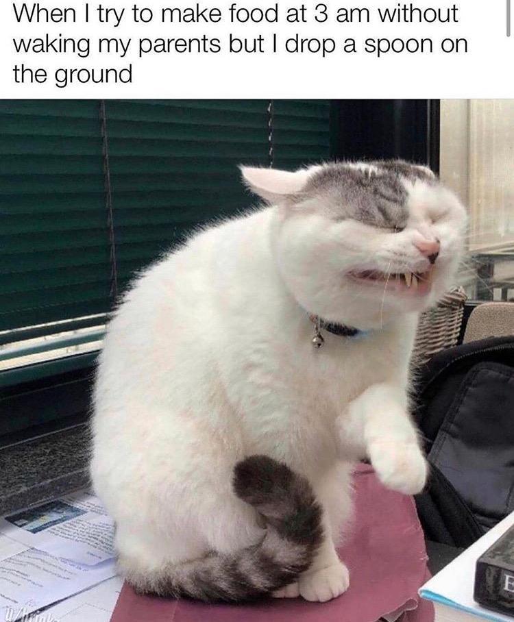 The best 3am memes ) Memedroid