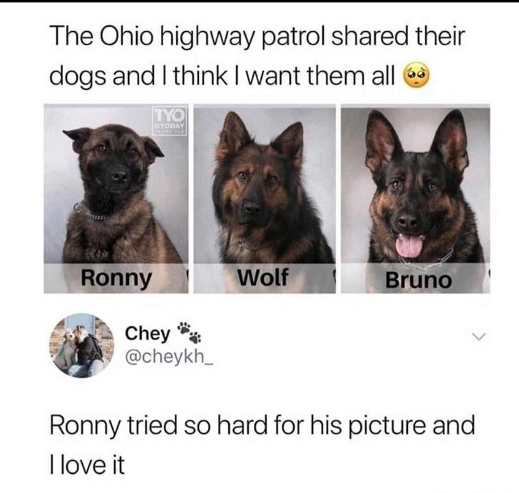 Even satan like dogs Meme by DerpGod ) Memedroid