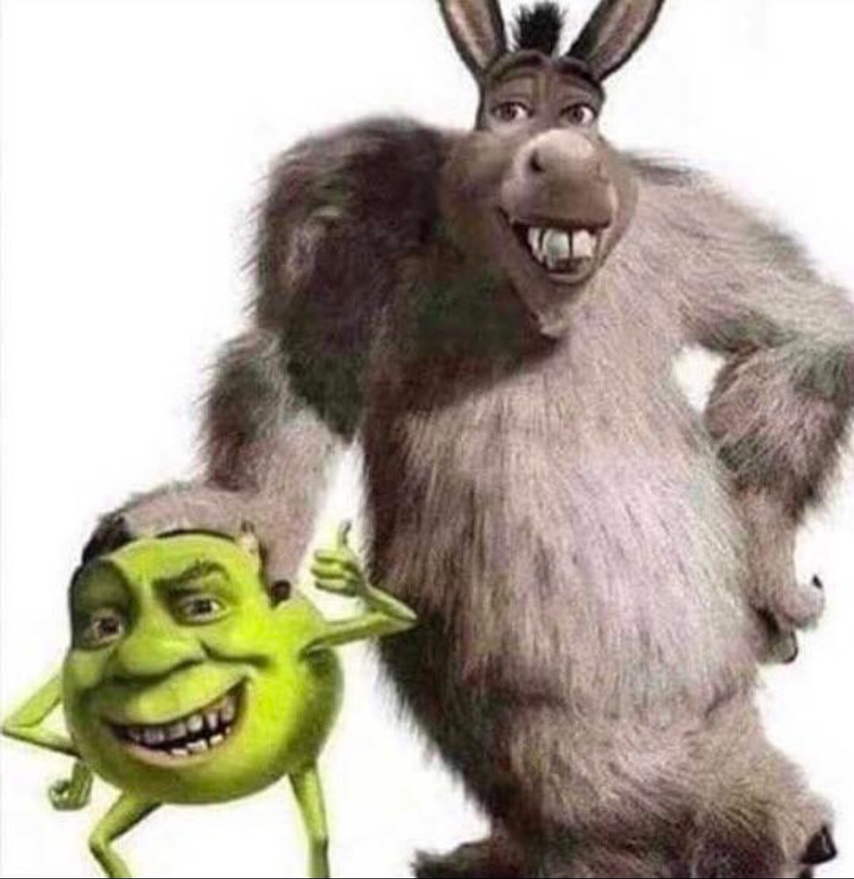 donkey and shrek Meme by Winston_main ) Memedroid