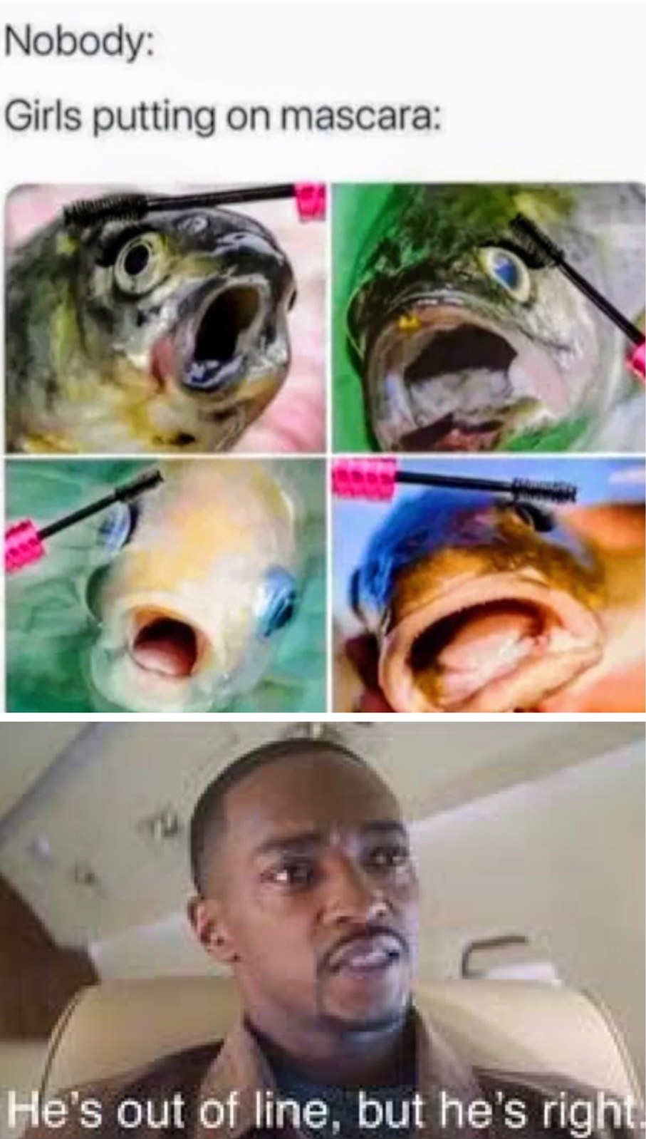 OMG he’s right… feeing called out… but he’s right Meme by Bat112112