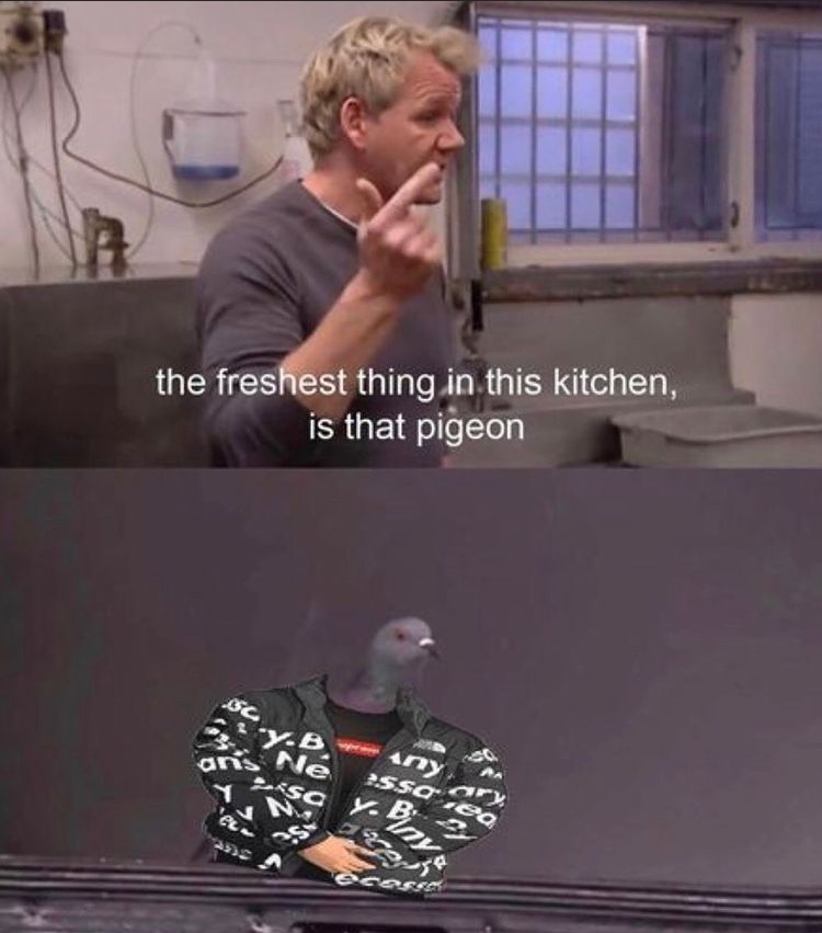 The best fresh memes ) Memedroid