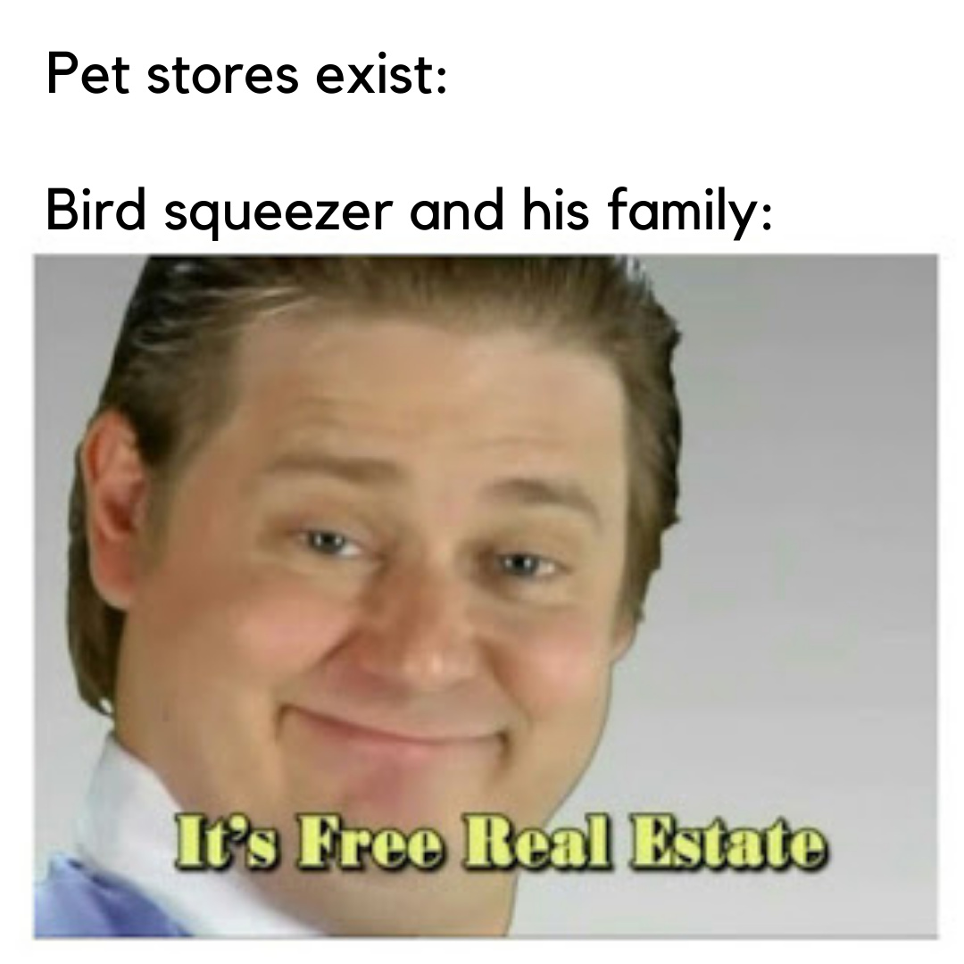 Free Real Estate Memes 2020 Milanasdecolores
