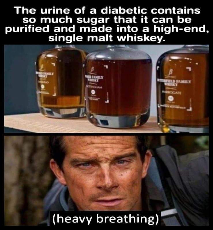 The best pee memes ) Memedroid