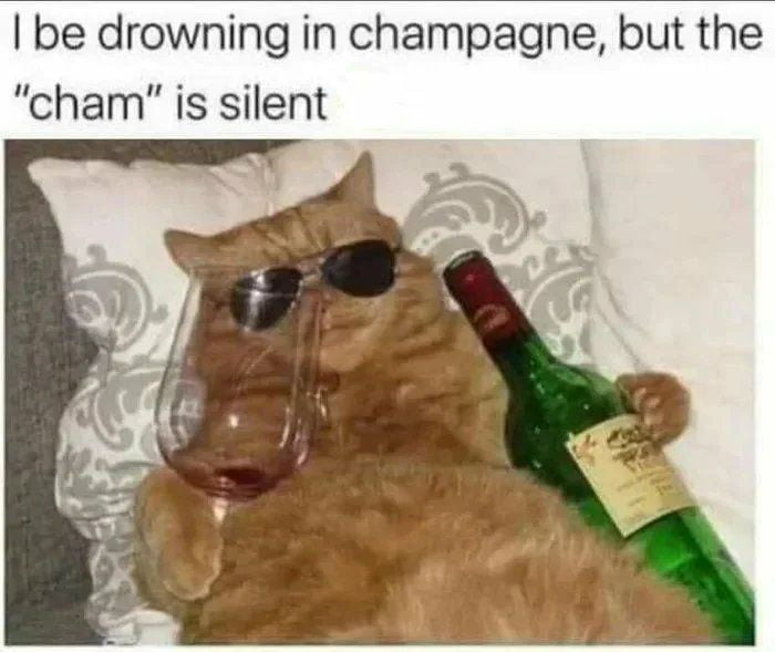 The best Champagne memes ) Memedroid