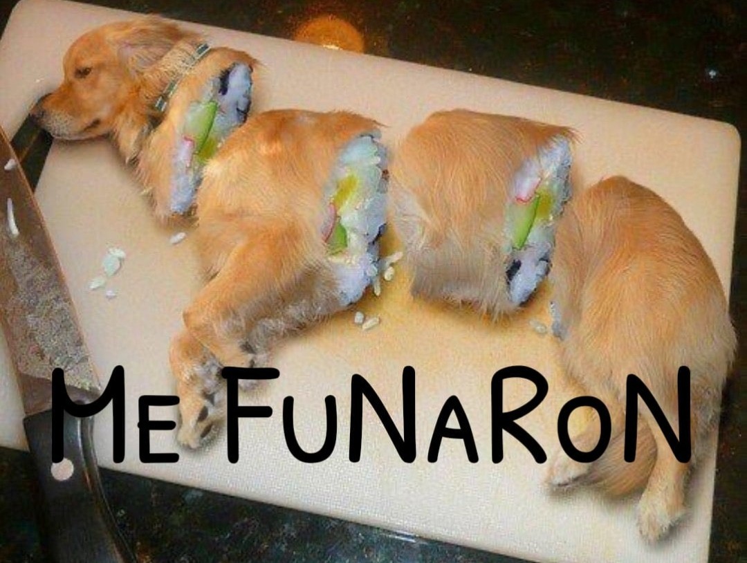 Sushi dog Meme subido por KuroKun ) Memedroid