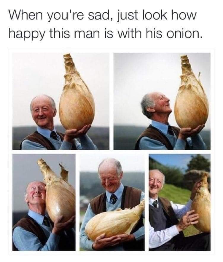 The best Onion memes ) Memedroid