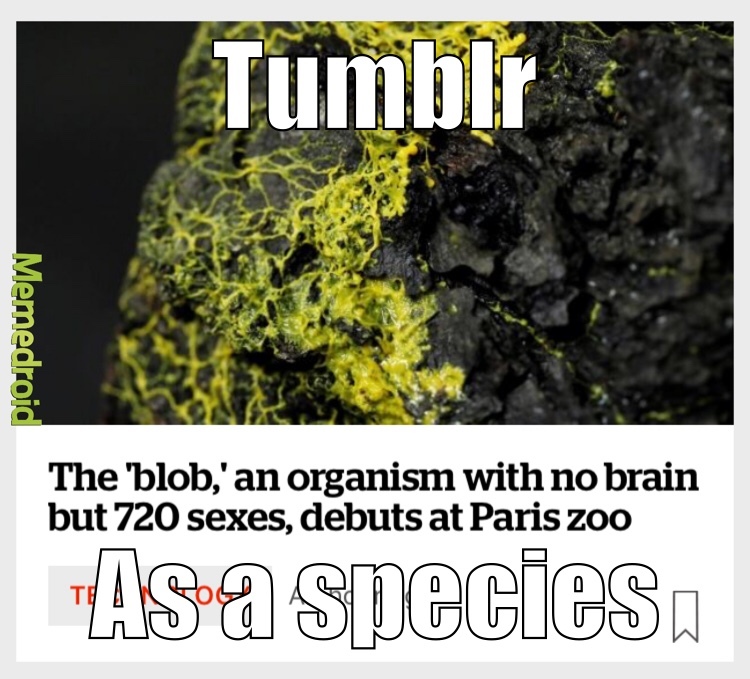 best description of tumblr Meme by Theghostoftimmy ) Memedroid