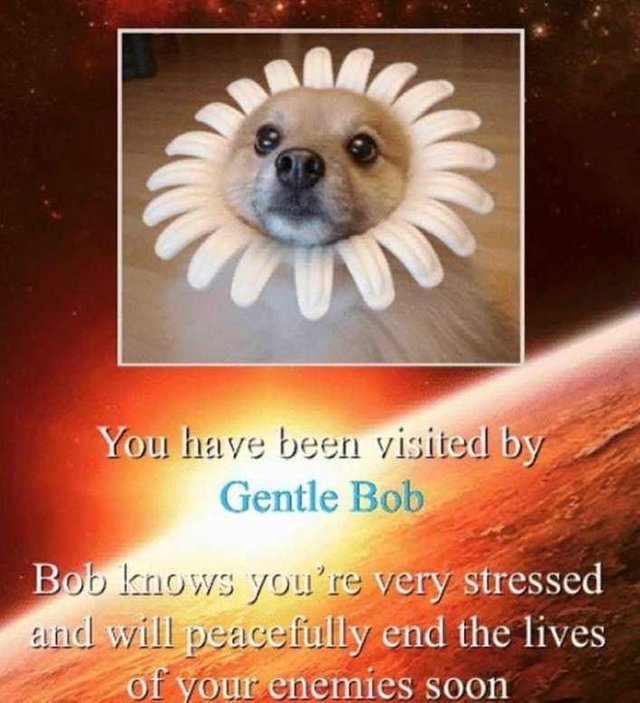You have been visited by gentle bob Meme by Splinter99 ) Memedroid