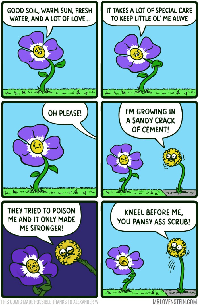 The best Flowers memes ) Memedroid