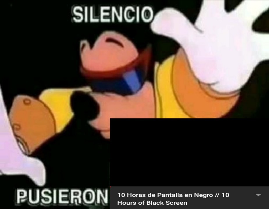 Los peruanos no tienen derechos humanos Meme subido por Cappy_7208