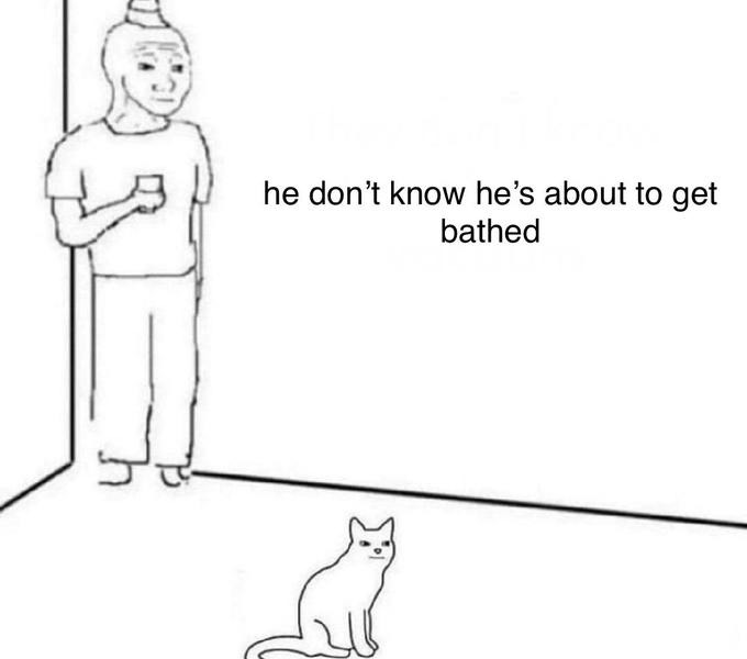 The best Puma memes ) Memedroid