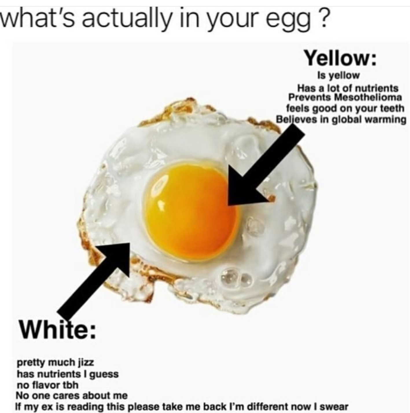 World Record Egg Meme