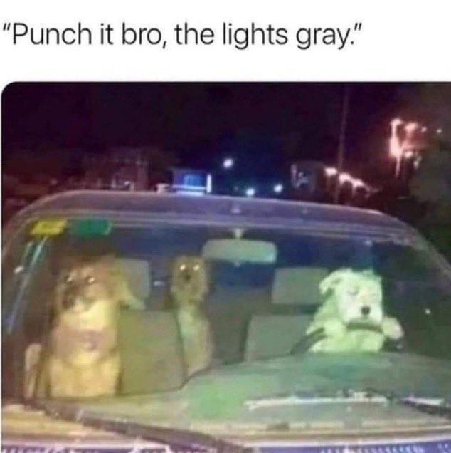 ﻿”Punch it bro, the lights gray”