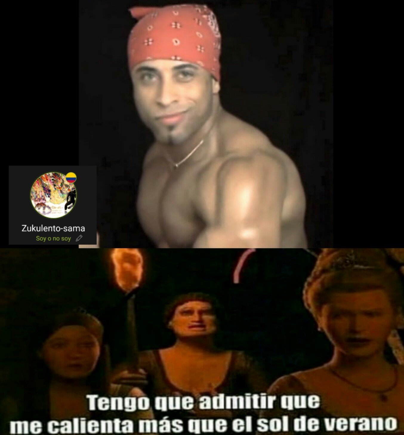 Meet Ricardo Meme by Zukulentosama ) Memedroid