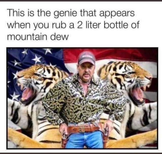Tiger King Never Financially Recover Meme Joe Exotic Financially