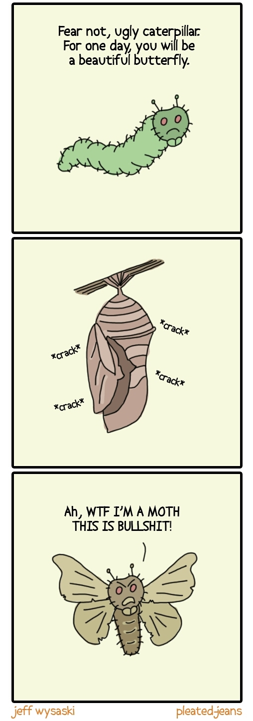 beautiful butterfly Meme by mustafatopi ) Memedroid