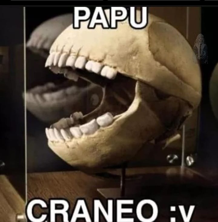Los mejores memes del día en español ) Memedroid