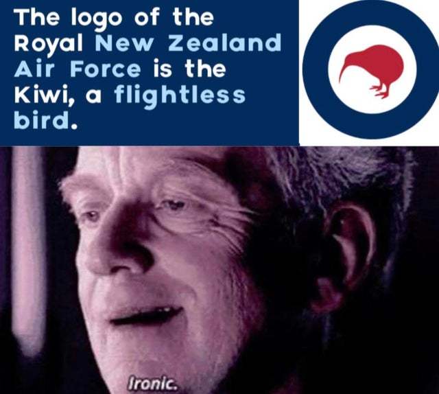 The best kiwi memes ) Memedroid
