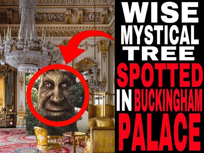 Wise Mystical Tree Meme by milongasoviet ) Memedroid