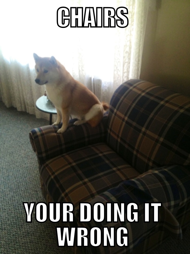 The best Couch memes ) Memedroid