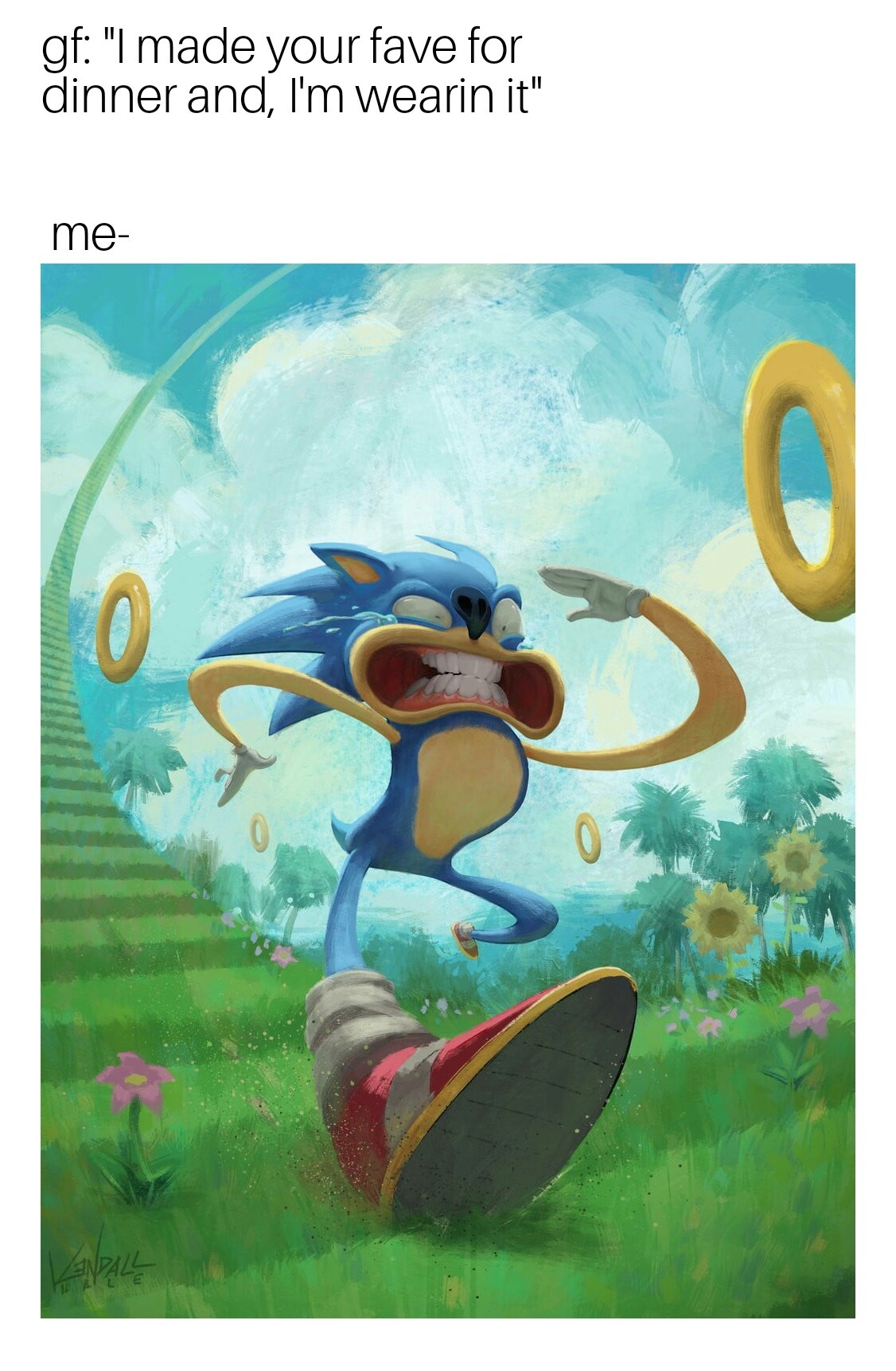 Sonic Boom Memes Funny