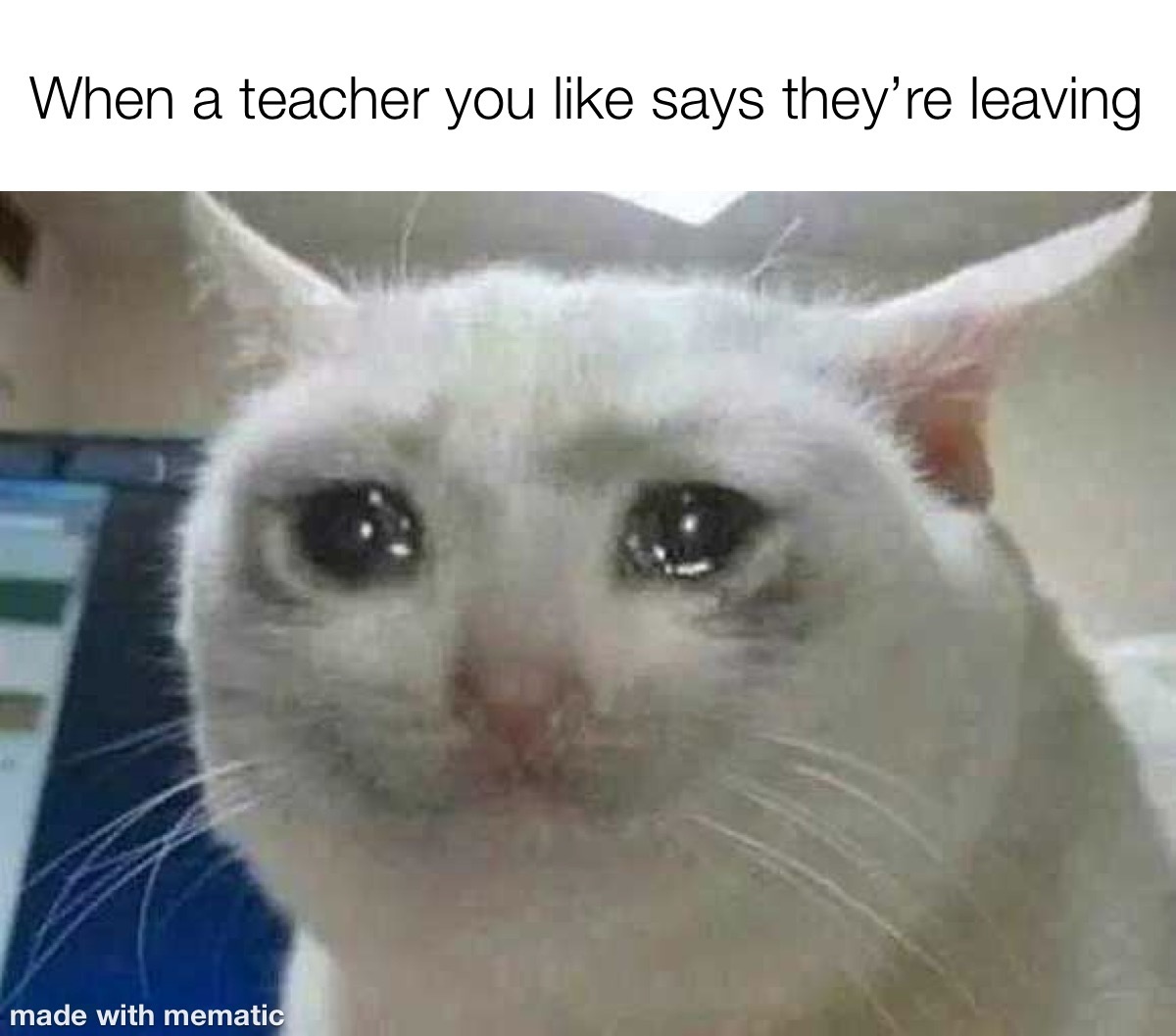 I’m not ready to be without you Meme by JoJoWeeb ) Memedroid