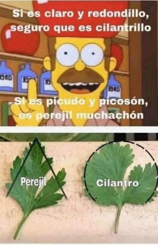 Top memes de Cilantro en español ) Memedroid